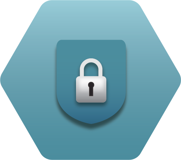 image of a lock on a shield